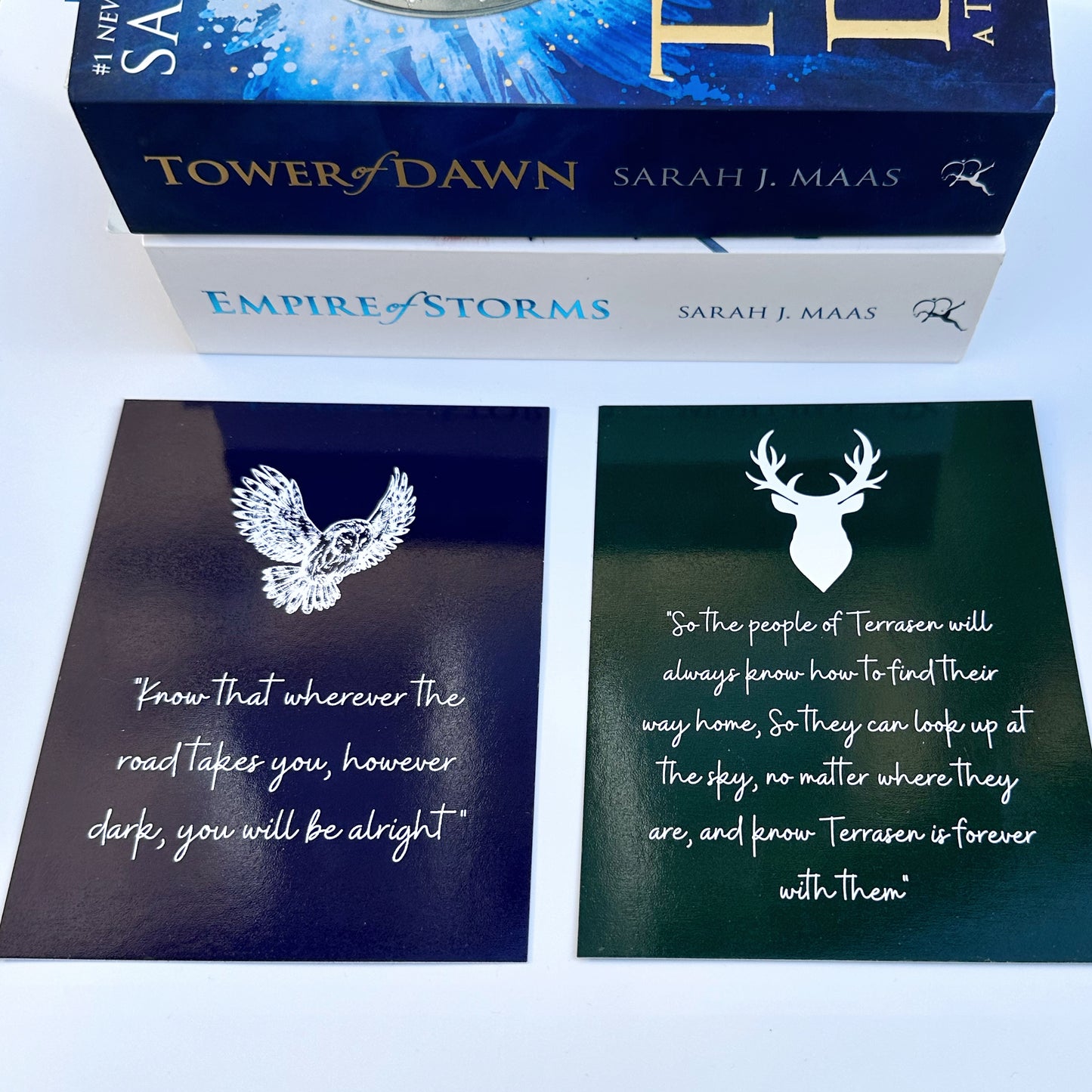 Throne Of Glass Tandem Read Bookmark, TOG Print