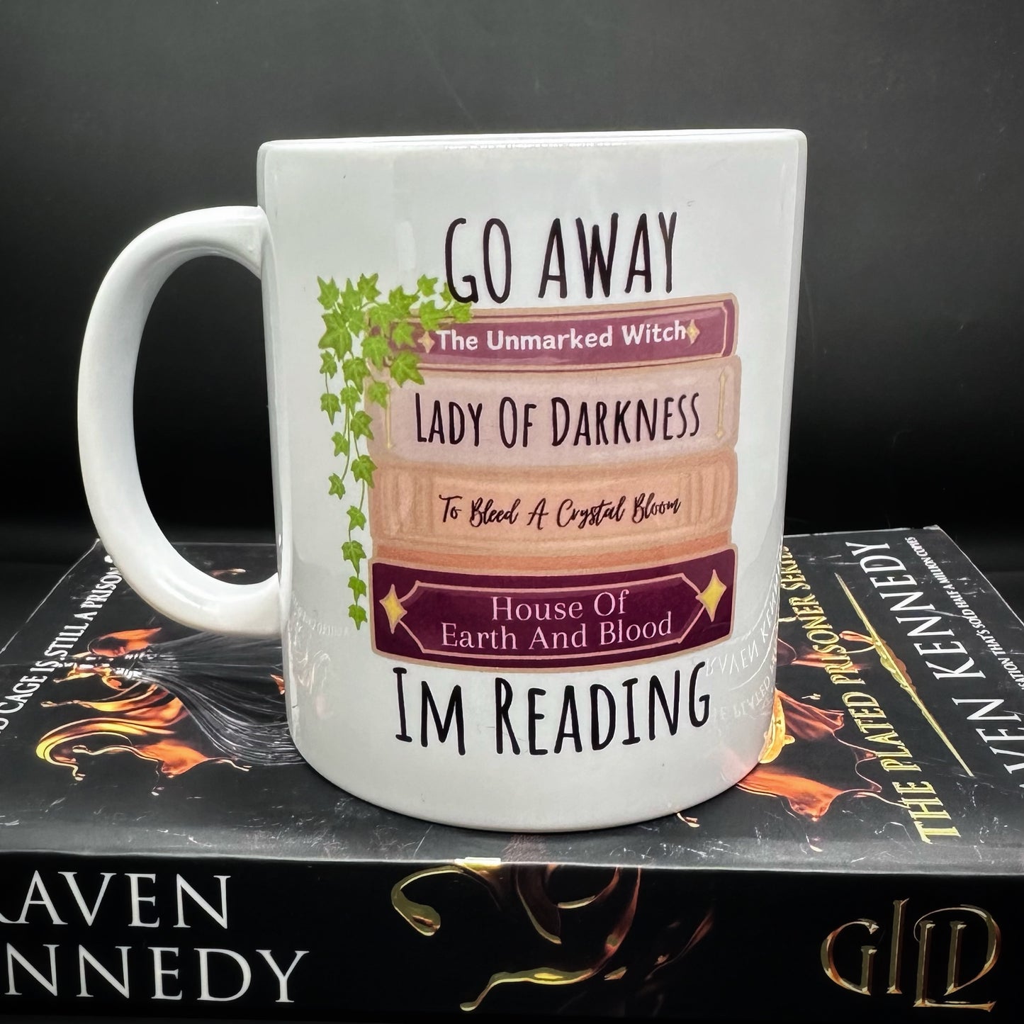 Go Away Im Reading Mug, Fantasy Romance Readers Merch, Tea Or Coffee Mug