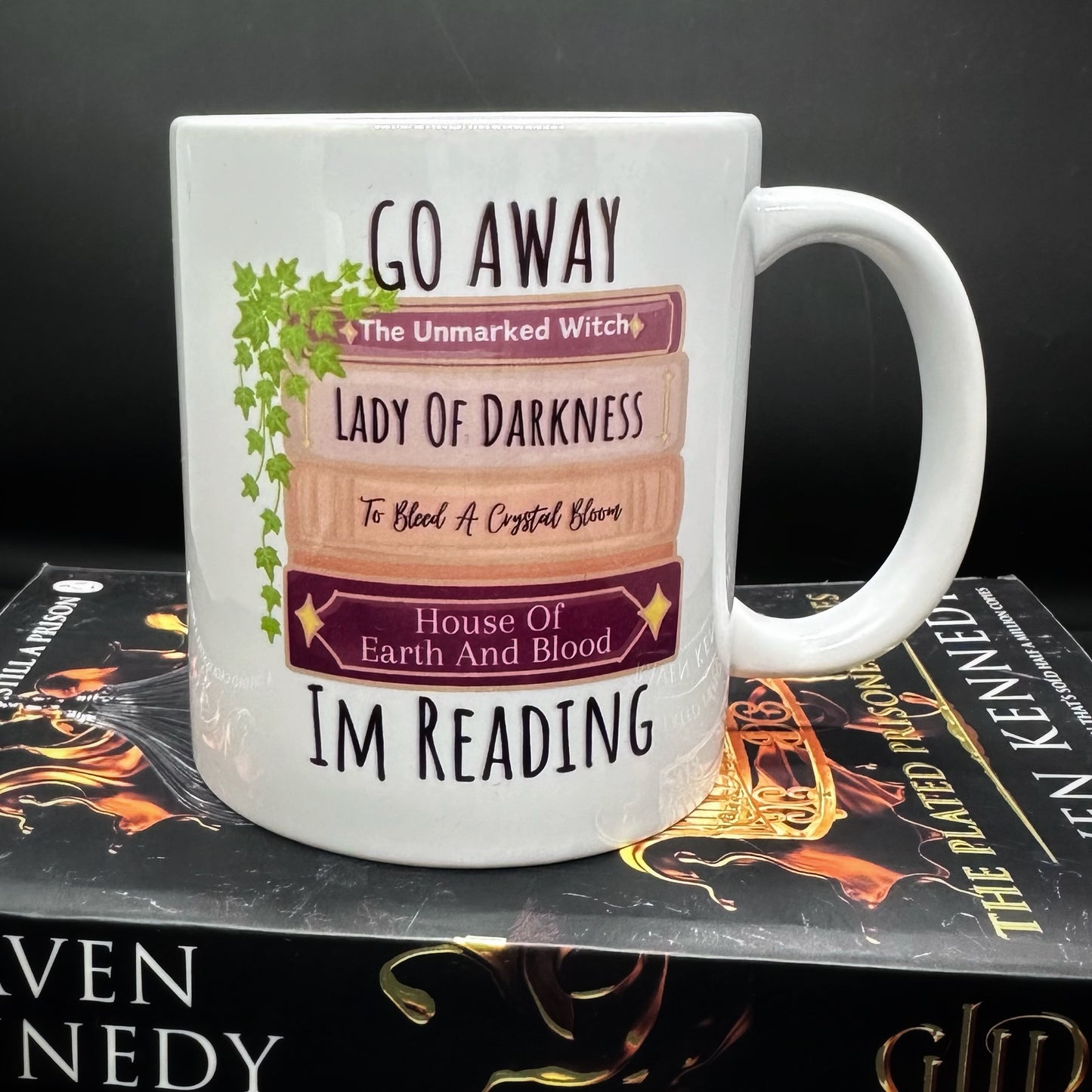 Go Away Im Reading Mug, Fantasy Romance Readers Merch, Tea Or Coffee Mug