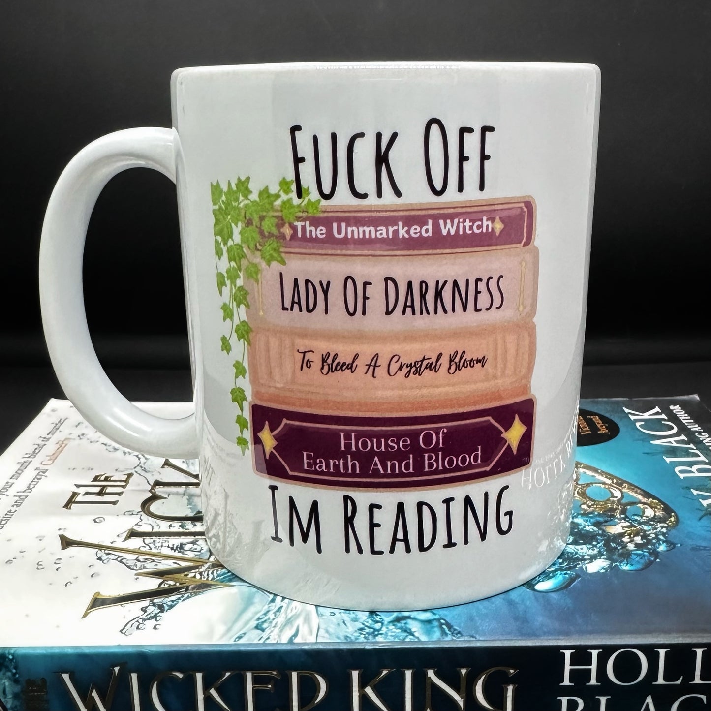 Fuck Off Im Reading Mug, Fantasy Romance Readers Merch, Tea Or Coffee Mug