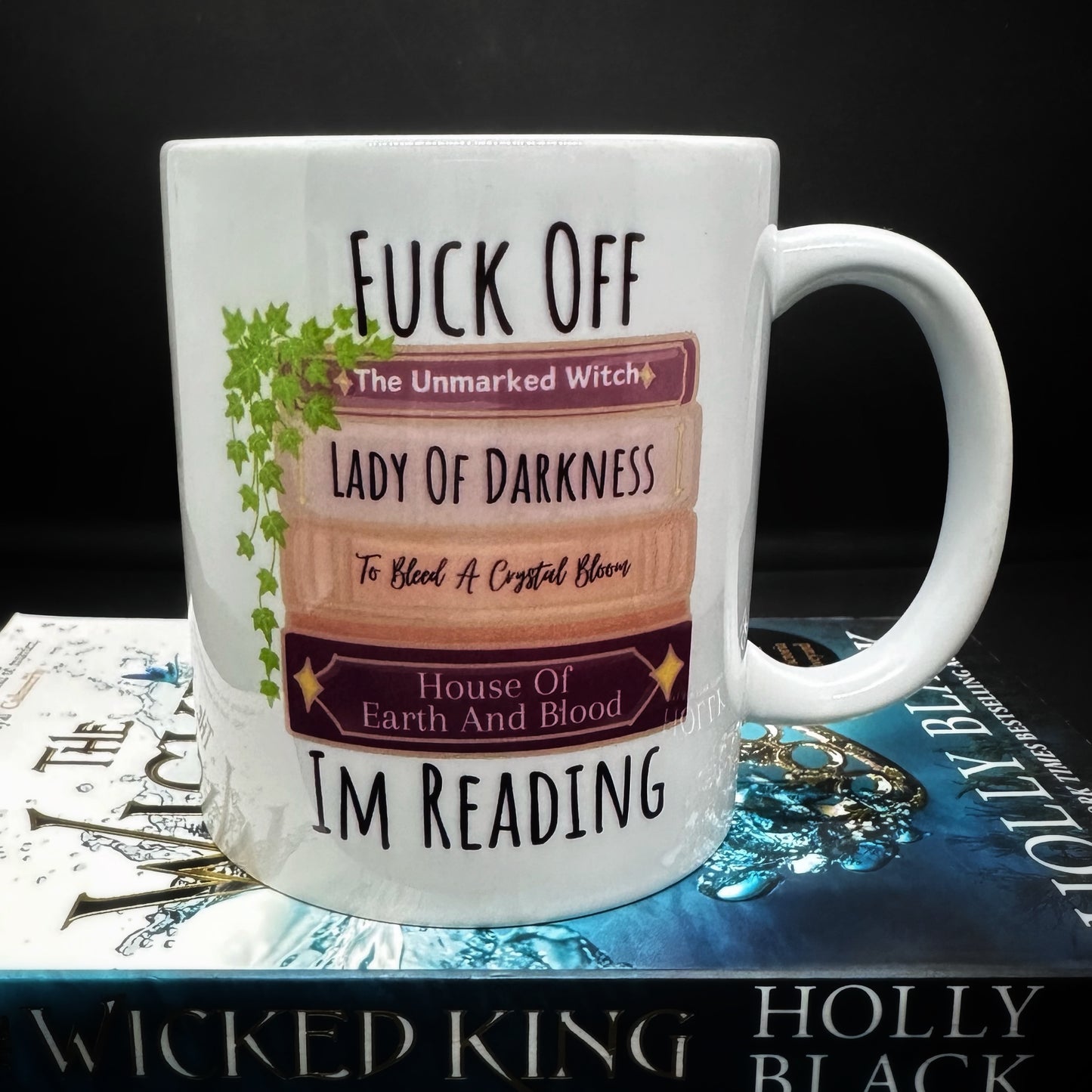 Fuck Off Im Reading Mug, Fantasy Romance Readers Merch, Tea Or Coffee Mug